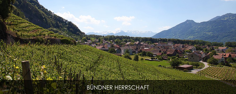 Weinregion Bündner Herrschaft weinrouten.de
